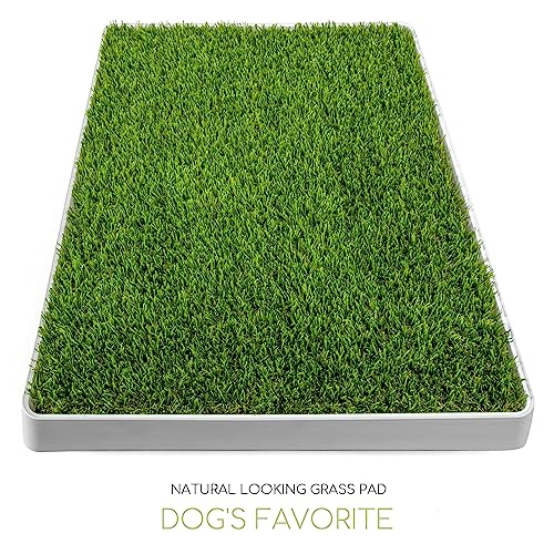 Dog Grass Pad with Tray (Dogs Potty)