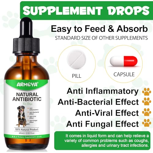 Natural Antibiotics for Dogs