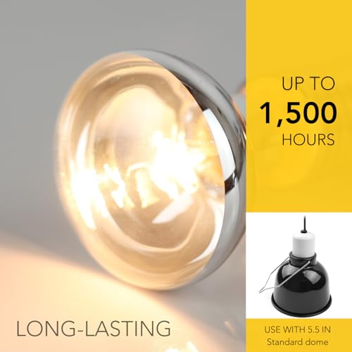 Reptile Heat Lamp Bulbs