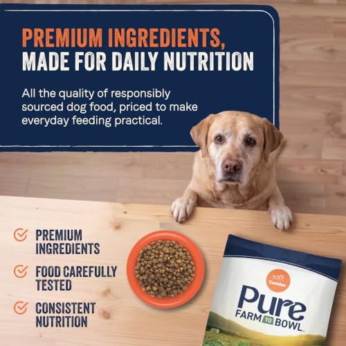 Pure Farm to Bowl (22 Pound (Pack of 1))