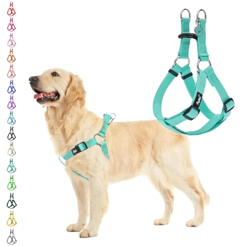 No Pull Dog Harness Medium Sized Step (Light Green / Medium)
