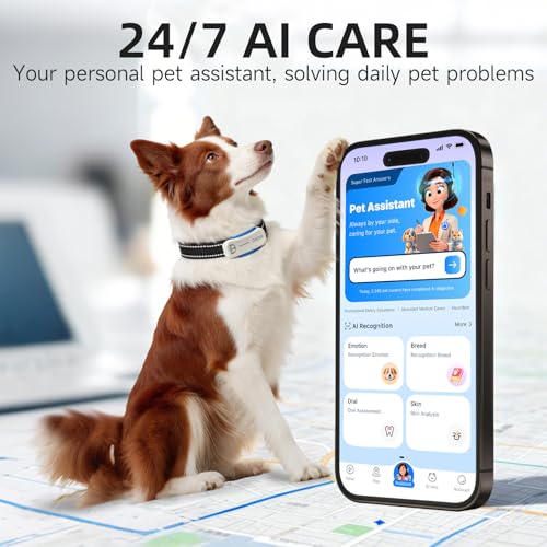 Next Gen GPS Dog Tracker + 36 (D5-White 36M Plan)