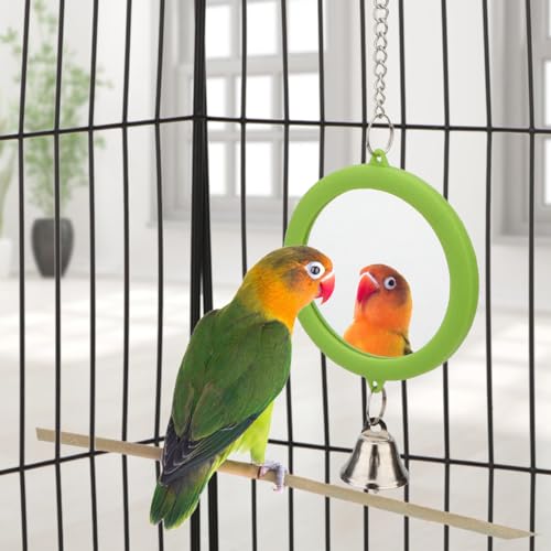 Bird Mirror Toy with Bell Interactive Parrot Hanging Mirror (GREEN)