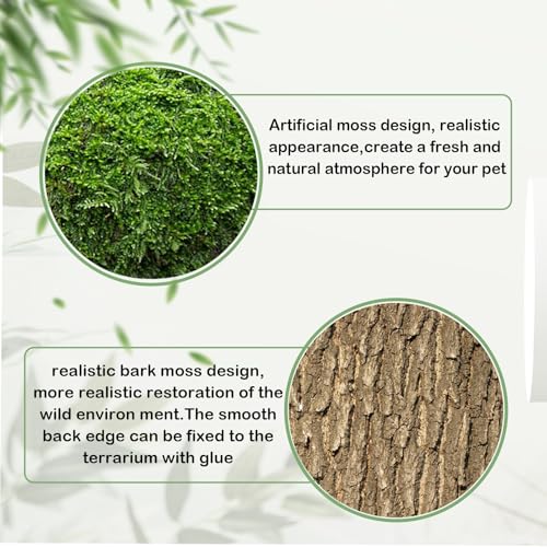 Reptile Cork Terrarium Background Decor