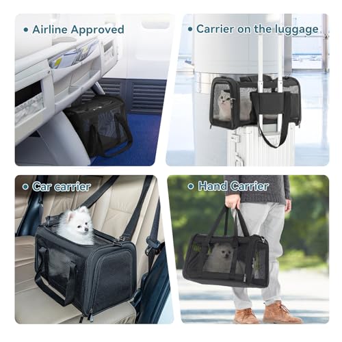 Soft Sided Cat Carrier (18.0"L x 11.0"W x 11.0"H / Z-Black)