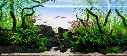 Black Lava Rock 16lb Aquarium Rocks Stones for Fish Tank Decor (04 Black Lava Stones（3-10inch,16lbs）)