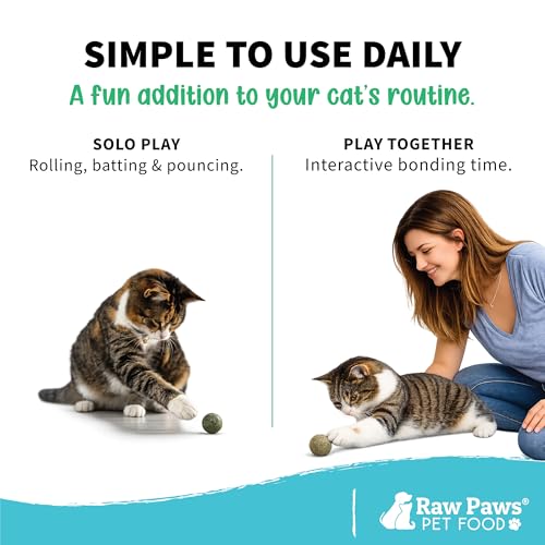 Catnip Balls for Cats (6-pack)