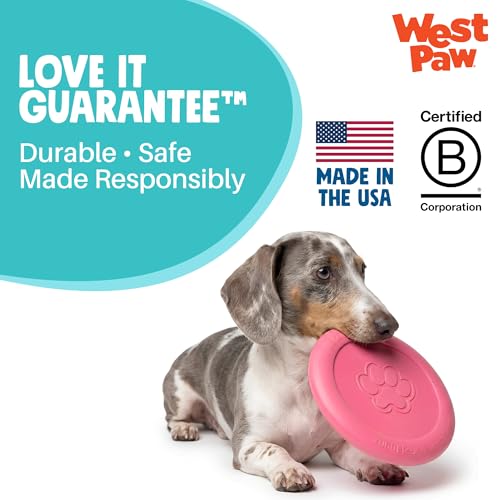 Zogoflex Zisc Dog Flying Disc (Small / Geranium)