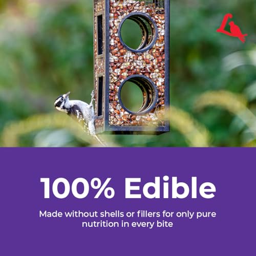 Delite Wild Bird Seed for Outside Feeders (20 Pound (Pack of 1))