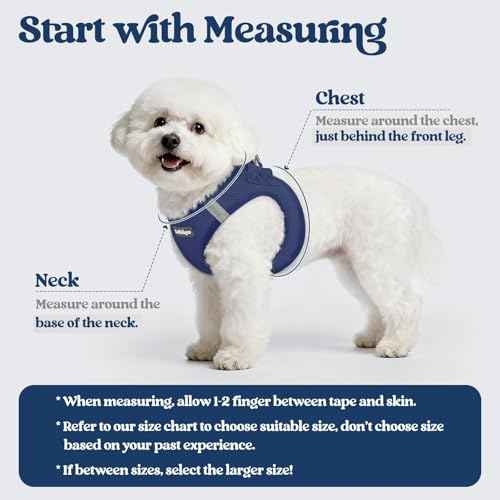 Dog Harness Small Sized and Leash Set (Navy Blue / S (chest: 15.1 - 16.5"))