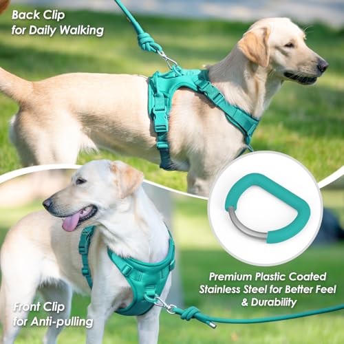 No Pull Dog Harness for Small Sized Dogs (MARRS Green / S(Neck:15.7-22.0", Chest:17.3-24.8"))