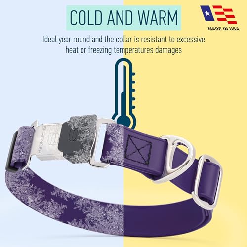 Biothane Waterproof Dog Collar with Herm Sprenger Stainless Steel Quick Release Buckle (W 1" x L 15"-25" / Violet Purple)