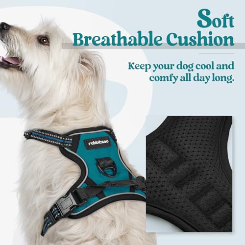 Dog Harness No Pull for Small Dogs with 2 Leash Clips (X-Small / Blue Coral)