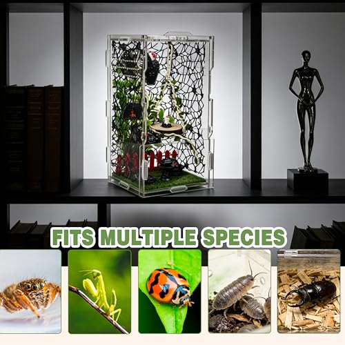 Jumping Spider Enclosure Kit 22pcs Terrarium with Decor (Green-Gothic)