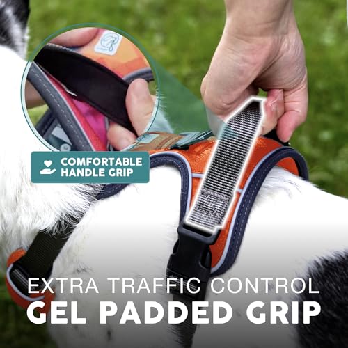 Embark No Pull Dog Harness (XS / Maverick)