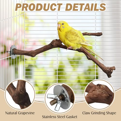 Natural Parrot Perch Grape Wood Bird Stand Pole Parakeet Paw Grinding Fork Chewable Climbing Branches Toy Bird Cage Accessories for Budgies Conures Cockatiels Lovebirds (7.9in)
