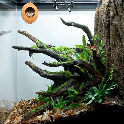 2 Pack Jumping Spider Enclosure Accessories with Walnut Shell Moss and Magnet