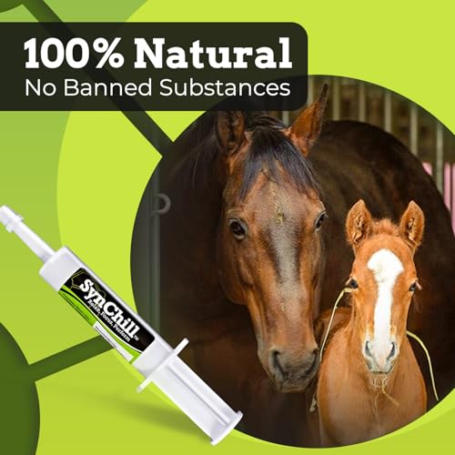 SynChill Horse Calming Supplement Gel (5-Pack)