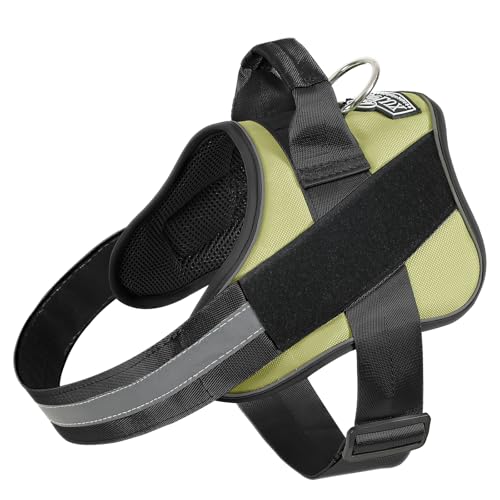 Dog Harness No (X-Small (Pack of 1) / Matcha)