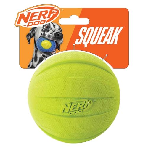 Rubber Ball Dog Toy with Squeaker (Green / 1 Count (Pack of 1) / Single)