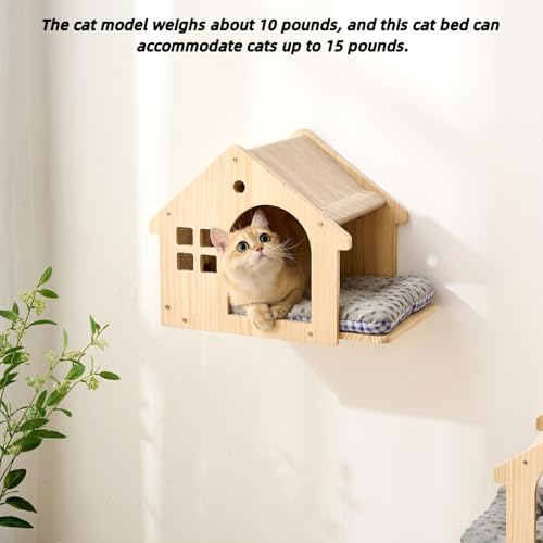 Wall Mounted Cat Furniture Set (C)