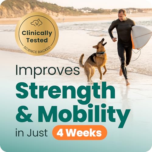 Extra Strength Healthy Hip & Joint for Dogs (120 Tablets)