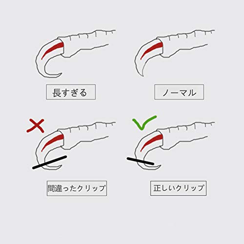 Bird Nail Clippers with Grinding Nail Scissors Tool Pet Parrot Claw Care (L / Pink)