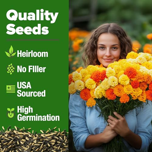Petite French Marigold Seeds