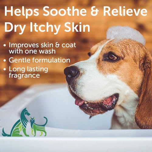 Cucumber Melon Pet Shampoo for Dogs & Cats (Cucumber Melon Shampoo / 16 oz)