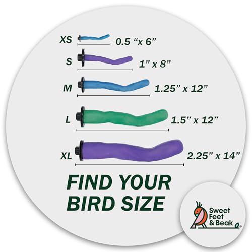 Safety Pumice Bird Perch (Green / Large 12")