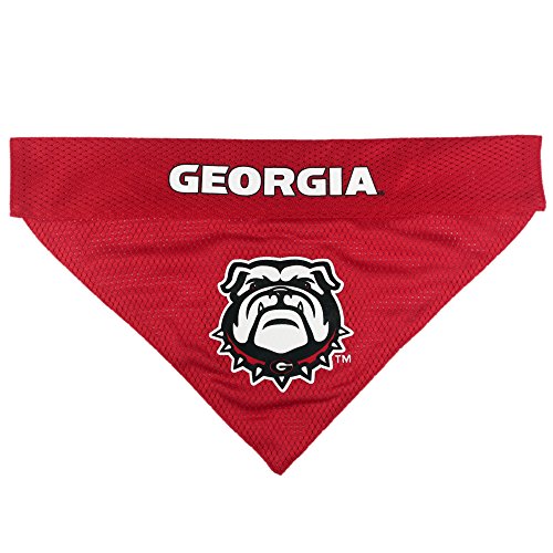 Collegiate Pet Accessories (XX-Large / Georgia Bulldogs)