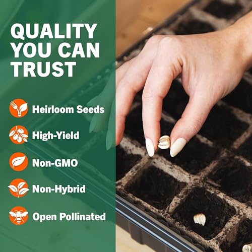 Herb Seeds 12 Packs