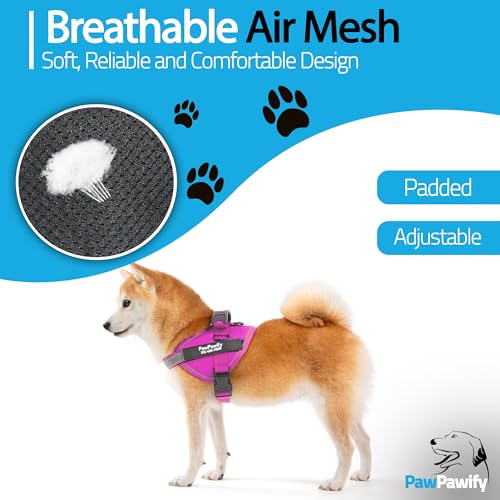 Custom No Pull Dog Harness with Name and Phone Number (XL (60-85 LBS) / New Pink)