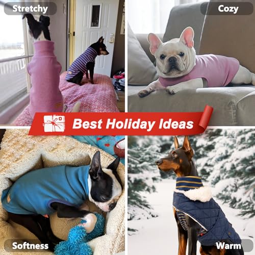 2Pack Dog Sweater for Small Dogs Soft Pet Coats Fleece Sweatshirt (Medium (7-11lbs) / 5# Stripe+Orange)