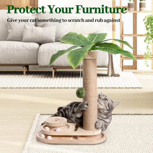 Cat Scratching Post Cat Scratcher Interactive Toy with Dangling Ball for Indoor Kitten 2 Layer Base Wooden Ball Track 17.7" Tall Modern Sisal Scratch Pole (18 in Ball Track)