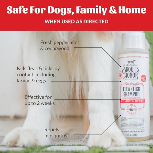 Natural Flea and Tick Shampoo for Dogs (Flea & Tick Shampoo)