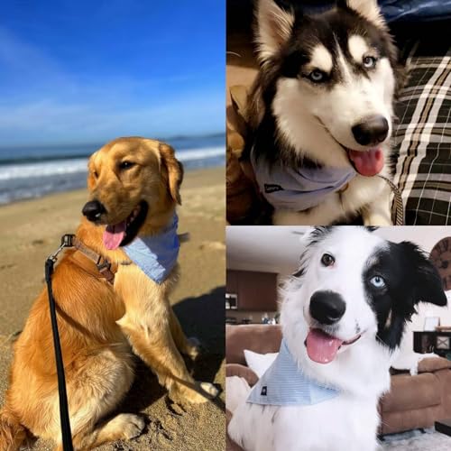 Dog Bandanas Large (Medium)