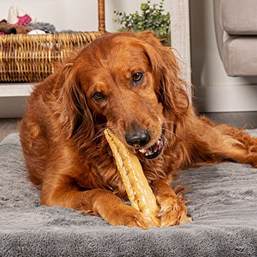 CareChewz Collagen +Plus 9" Rovers Dog Chew Treats (Rovers +PLUS / 3 Count (Pack of 1))