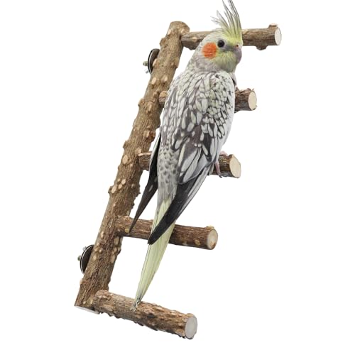 15.7 Inch Large Bird Perch Stand