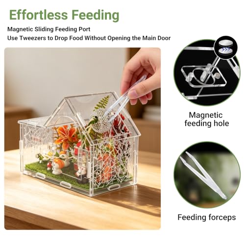 Acrylic Jumping Spider Enclosure Kit 25PCS with Decor (orange-Fairy Tale)