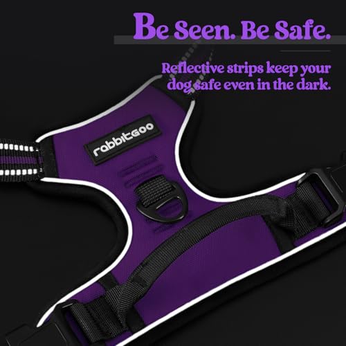 Dog Harness No Pull for Small Dogs with 2 Leash Clips (Small / Purple)