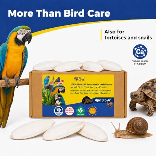 3.5 4″ Cuttlebone for Birds (4 Count (Pack of 1))