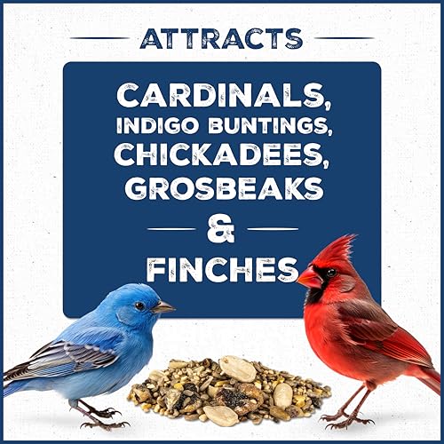 Classic Bird Seed Bird Food (10 pounds)