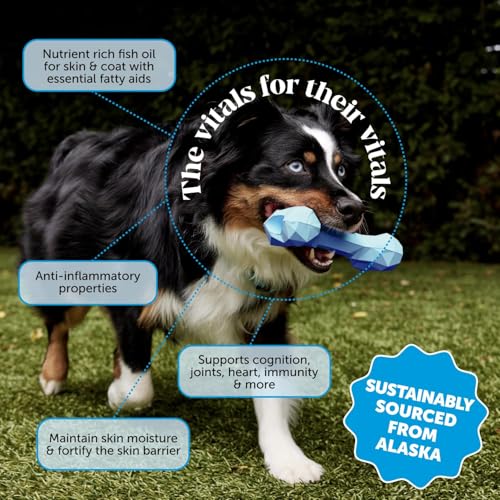 Vet Recommended Salmon Oil for Dogs and Cats (16oz)