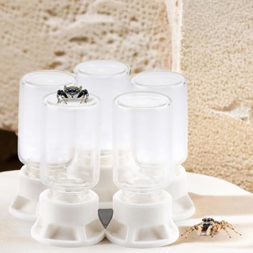 5 Pcs Jumping Spider Ant Water Feeder Bee Plastic Water Feeding Tarantula Water Bowl Spider Feeder