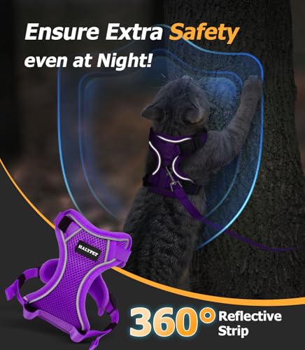 Cat Harness and Leash Set (H600 Pro Purple / Medium (13-18lb))