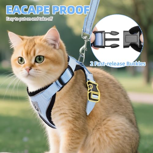 Cat Harness and Leash Set Escape Proof Reflective Cat Walking Harness Adjustable Soft Breathable Mesh Vest for Small Pets (M (NECK 11"-13.7", CHEST 16"-20") / Sky Blue)