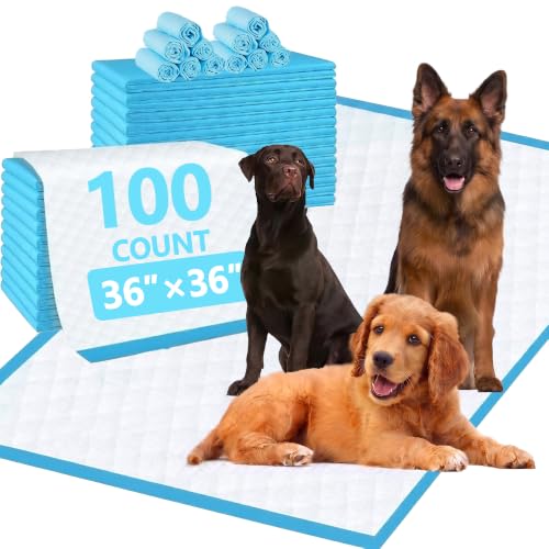 XXL Puppy Pee Pads