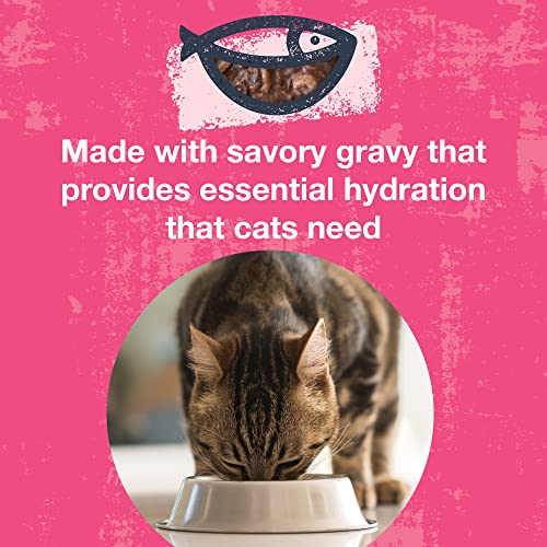 Poké Bowl Tuna & Shrimp Entree in Gravy for Cats (3 Ounce (Pack of 12))