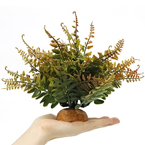 Fall Colors Boston Fern (J-fake Fall Colors Boston Fern)
